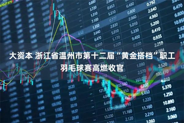 大资本 浙江省温州市第十二届“黄金搭档”职工羽毛球赛高燃收官