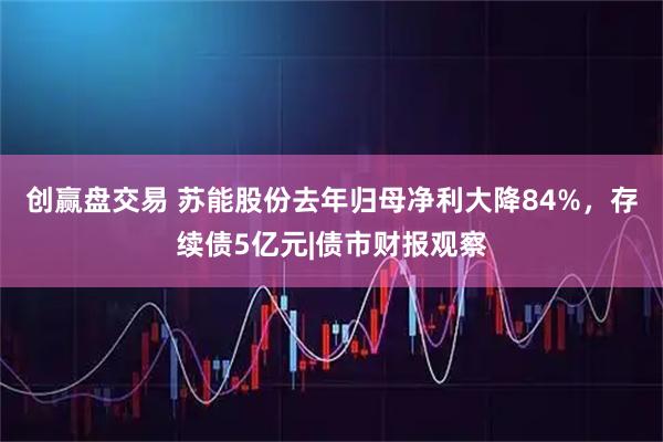 创赢盘交易 苏能股份去年归母净利大降84%,存续债5亿元|债市财报观察