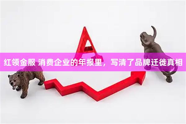 红领金服 消费企业的年报里，写清了品牌迁徙真相